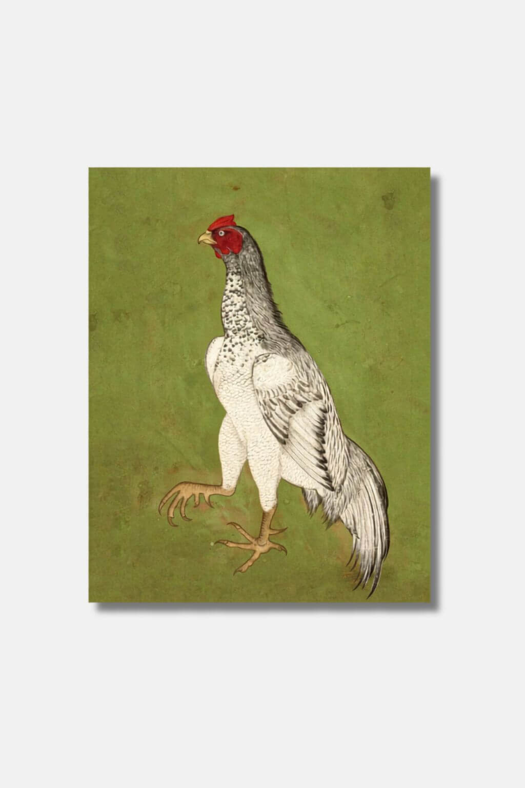 Vintage Rooster Art Print, 5x7"