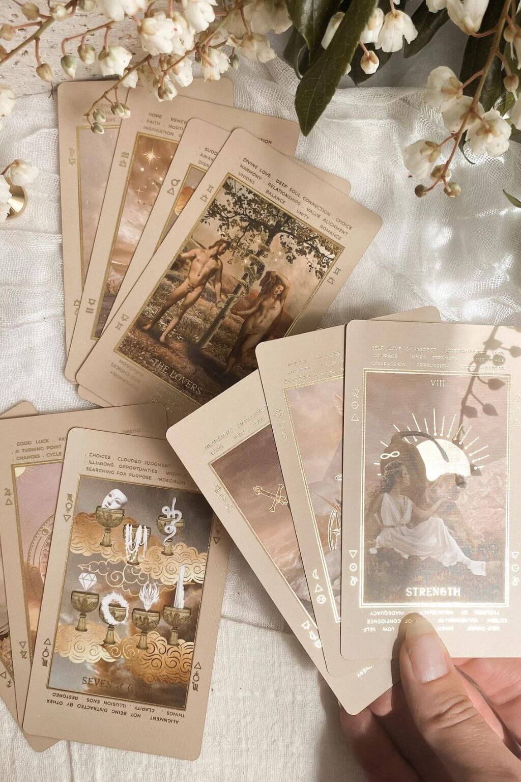 Beige Lucid Dreams Tarot cards held against a white background with floral elements