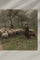 vintage european countryside sheep painting soft tones
