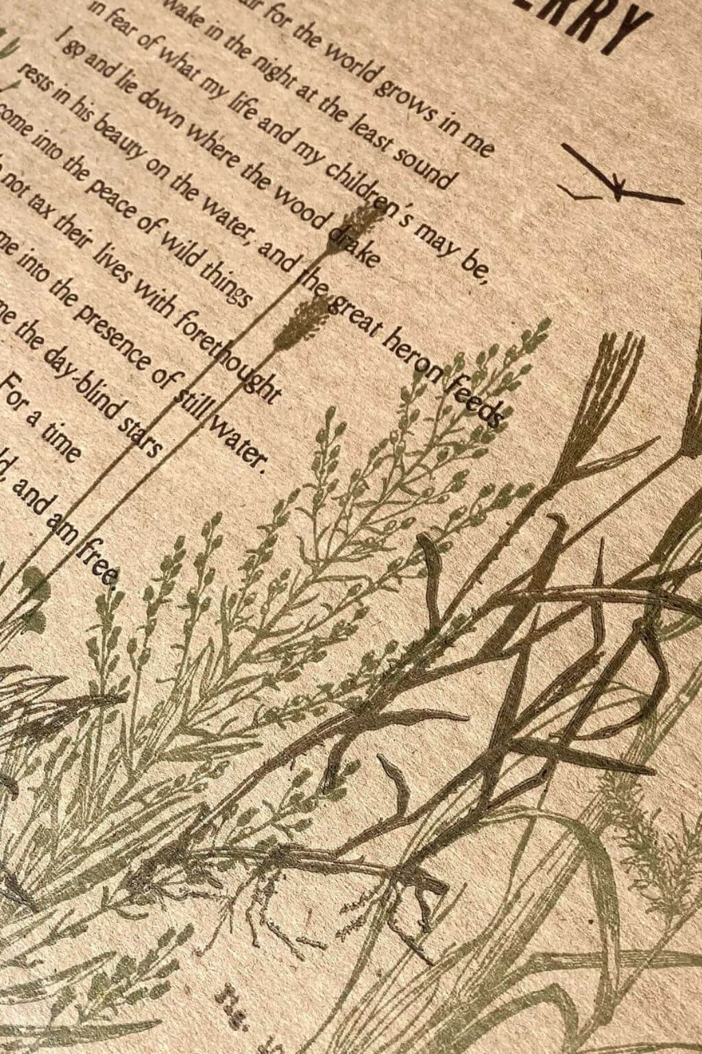 Close-up of a vintage-style printed page with botanical line drawings of wild grasses and a poem, showing warm tan paper and dark ink text and illustrations.