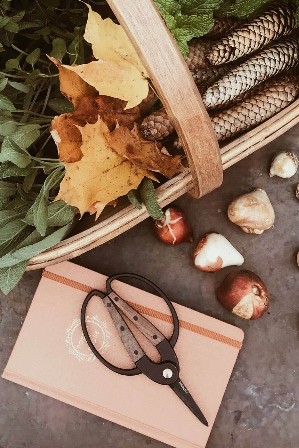 walnut garden scissors Small Garden Scissors