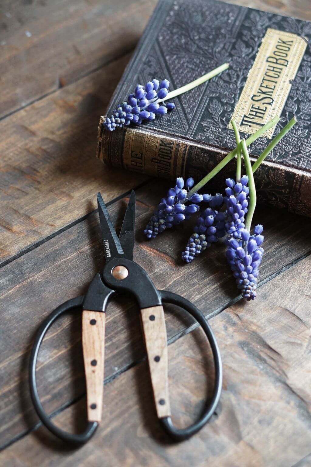 walnut garden scissors Small Garden Scissors