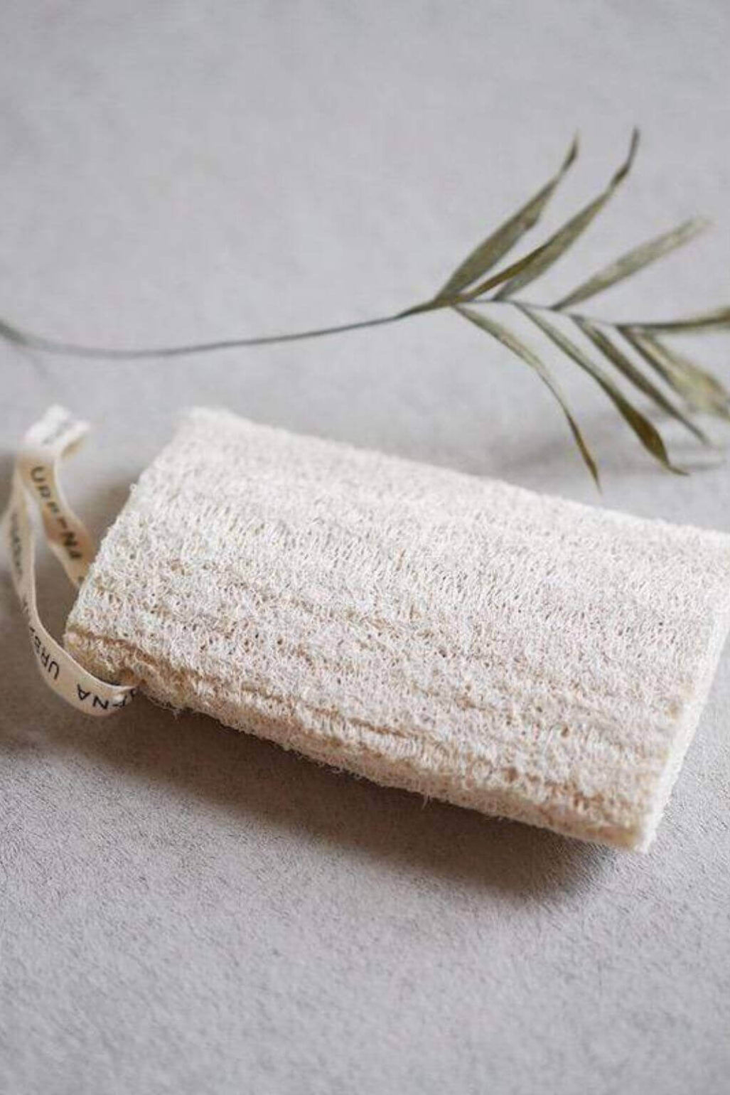 Natural loofah sponge on a neutral background with a plant leaf