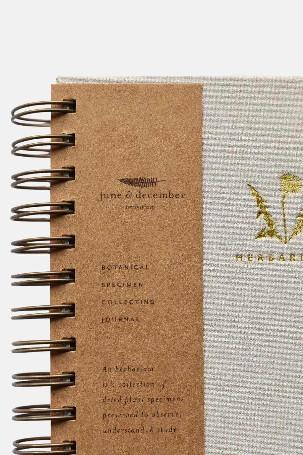 Botanic Sample Collection Journal Dandelion Herbarium Botanical Specimen Collecting Journal – Dear Juniper