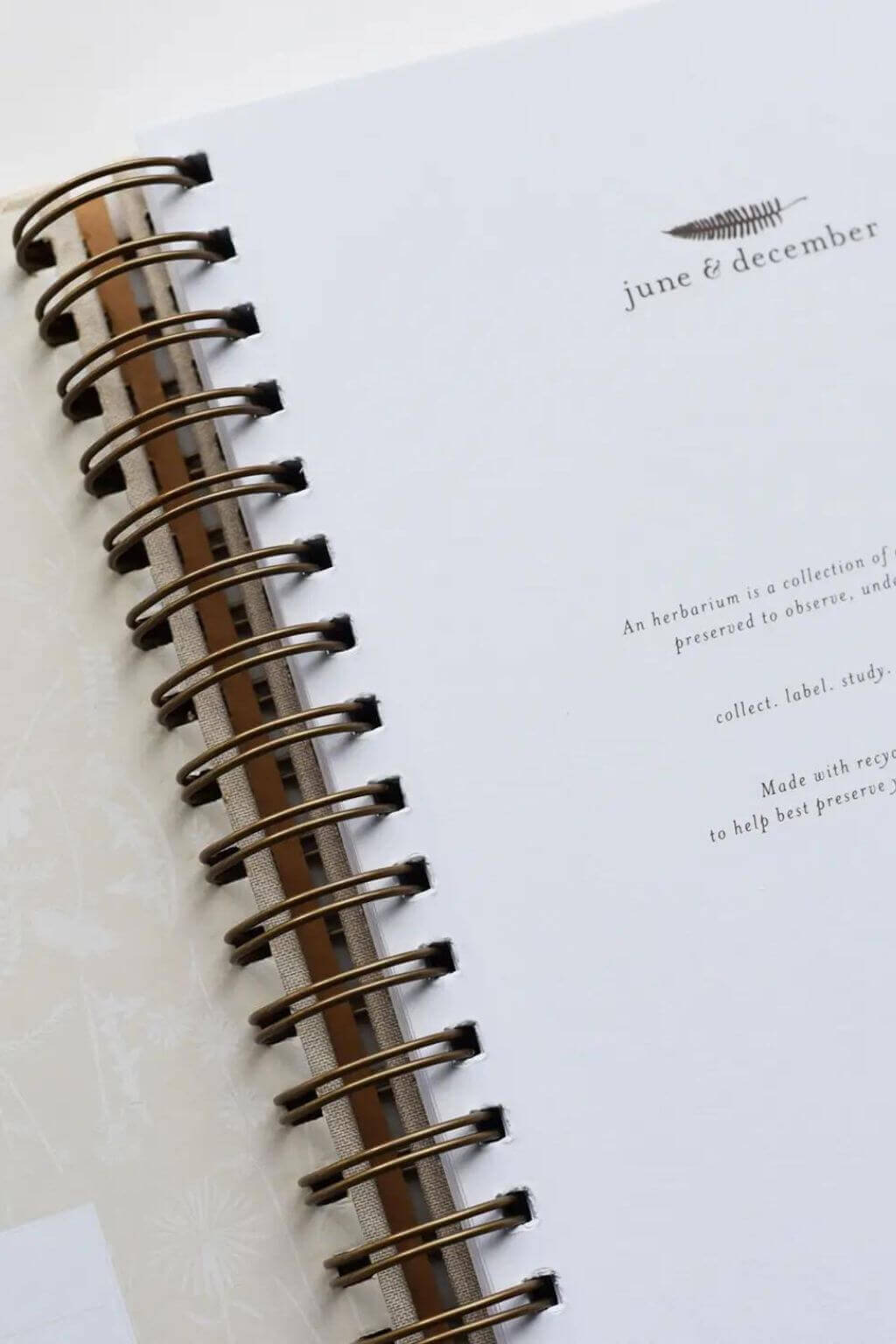 Botanic Sample Collection Journal Dandelion Herbarium Botanical Specimen Collecting Journal – Dear Juniper