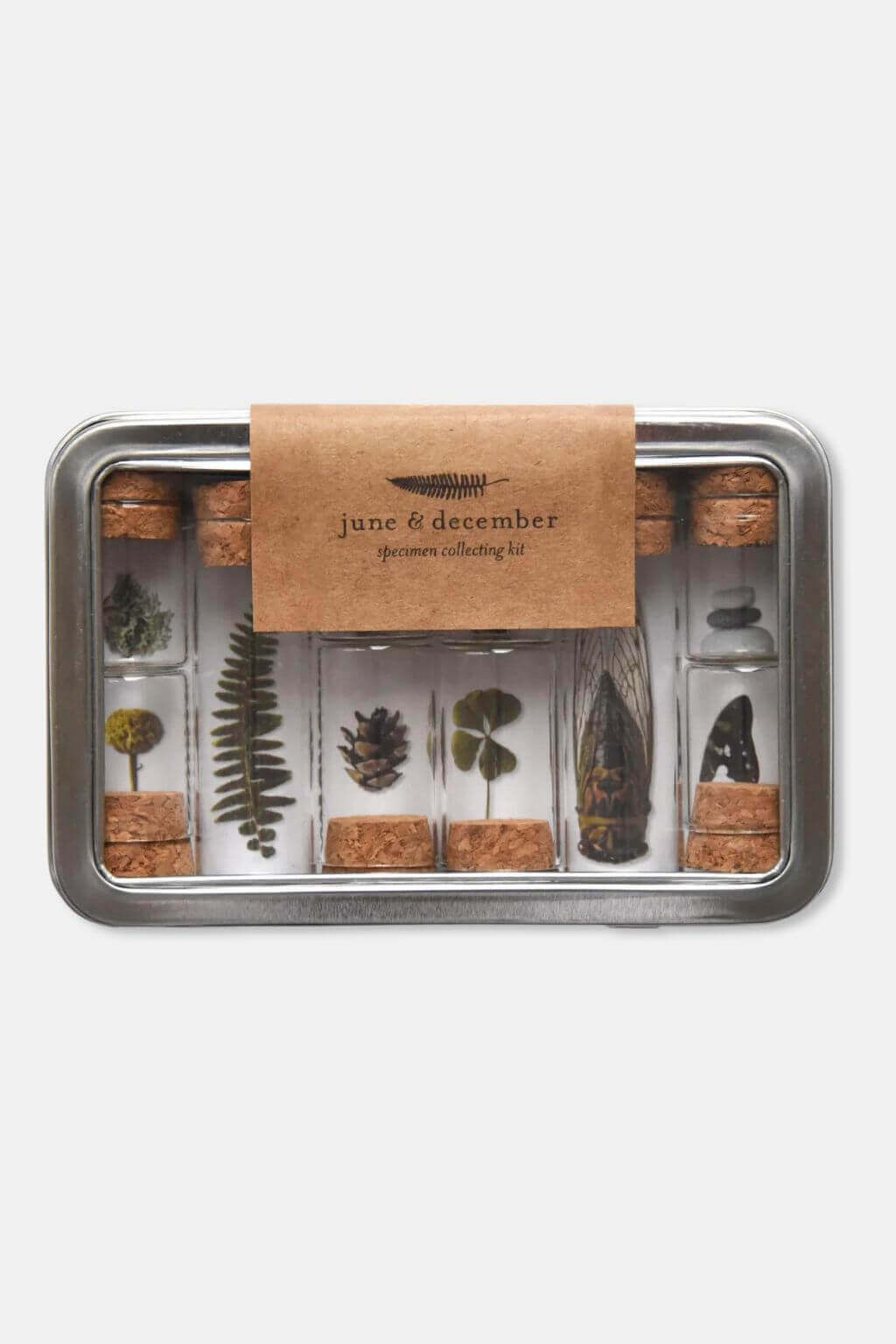 Nature Specimen Collecting Kit