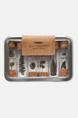 Nature Specimen Collecting Kit